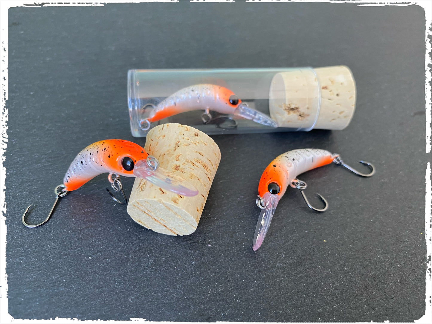 Trout Vision