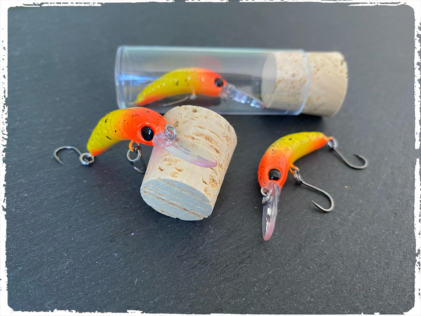 Trout Vision