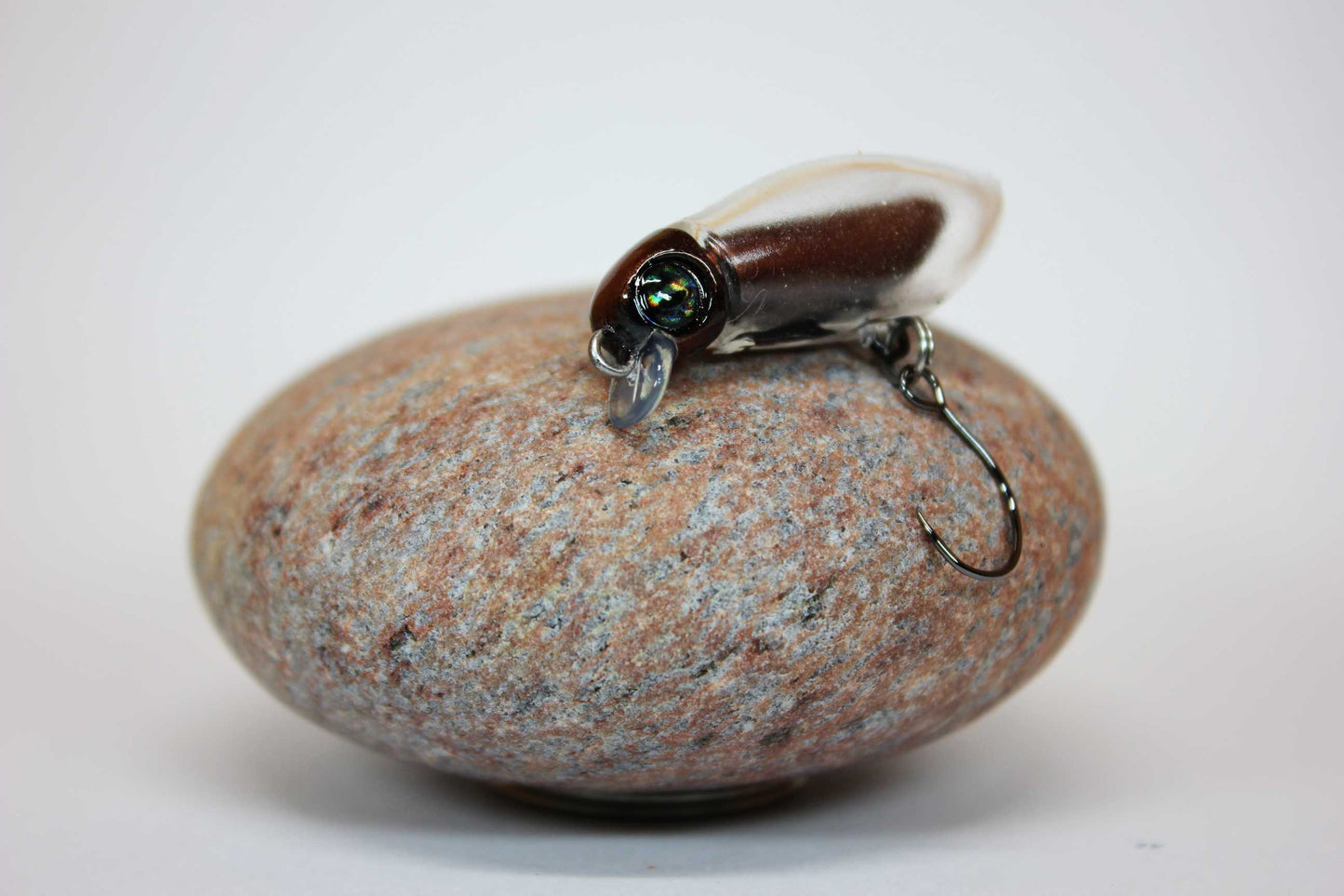 Magic Bug