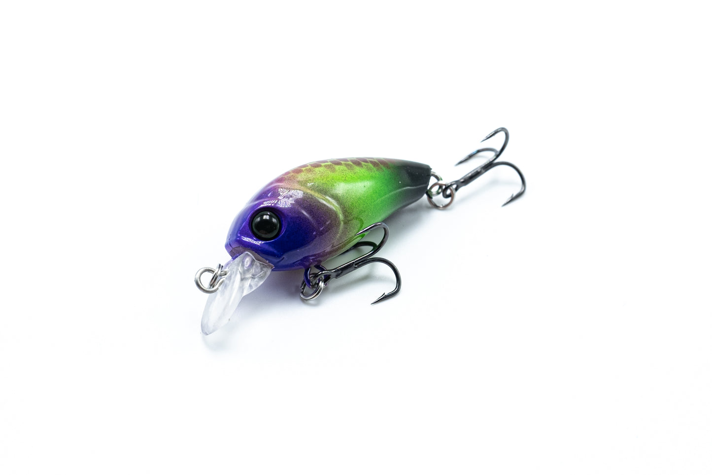 Zielfisch Salmoniden
