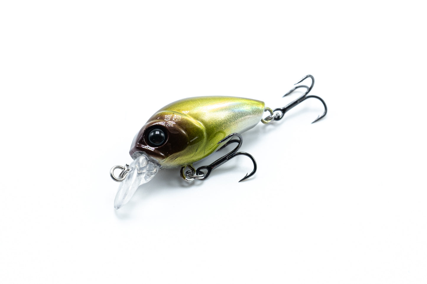 Zielfisch Salmoniden