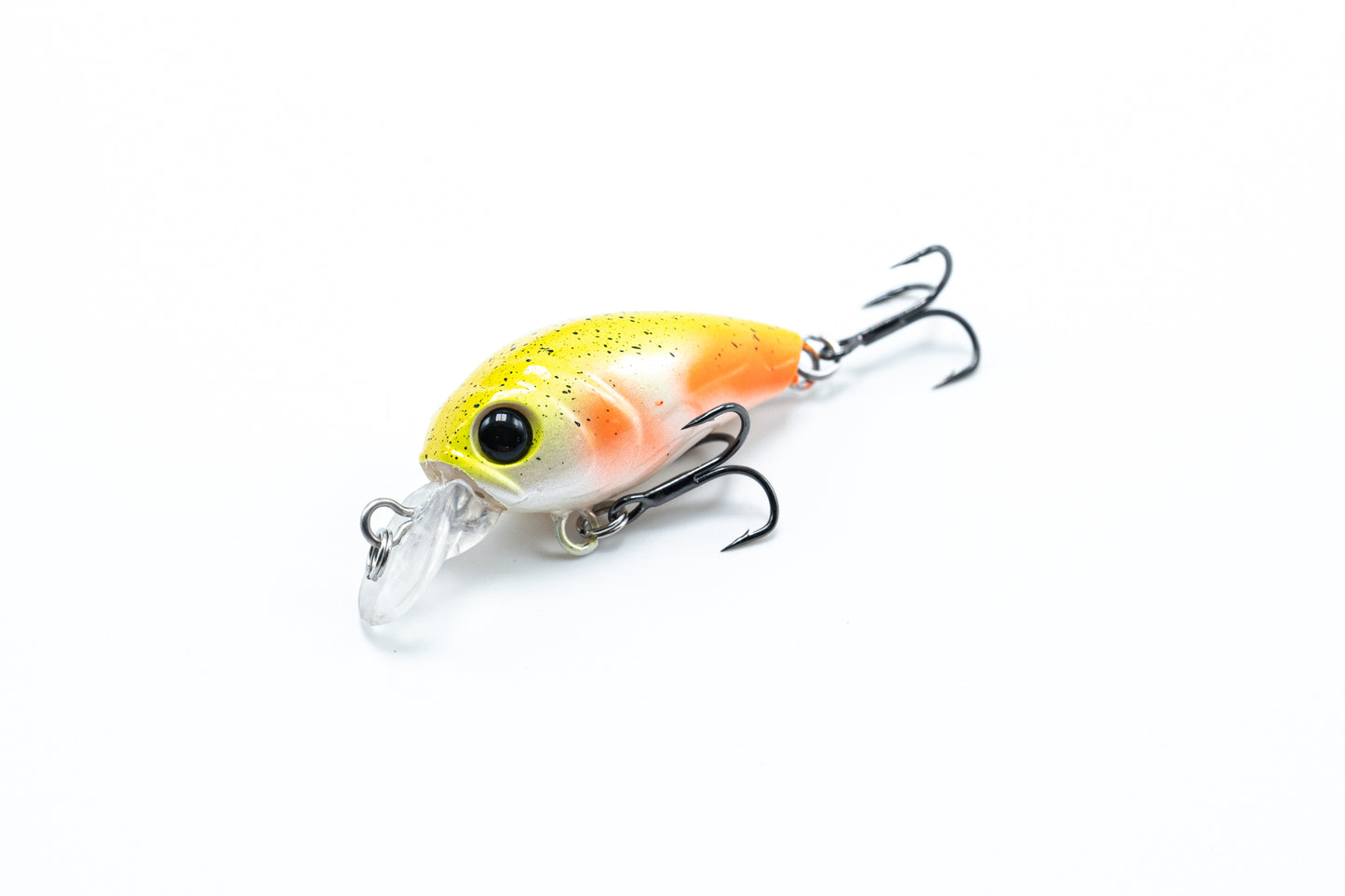 Zielfisch Salmoniden