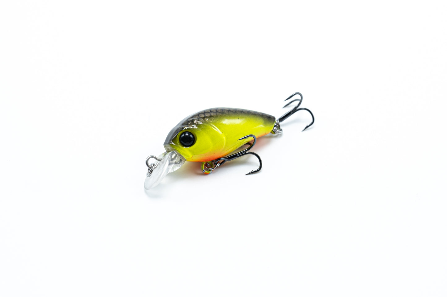Zielfisch Salmoniden