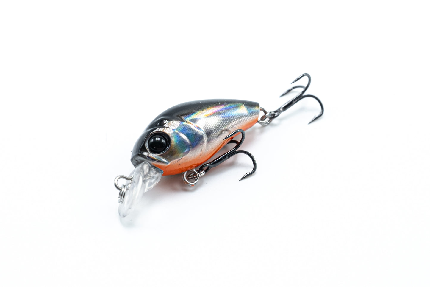 Zielfisch Salmoniden