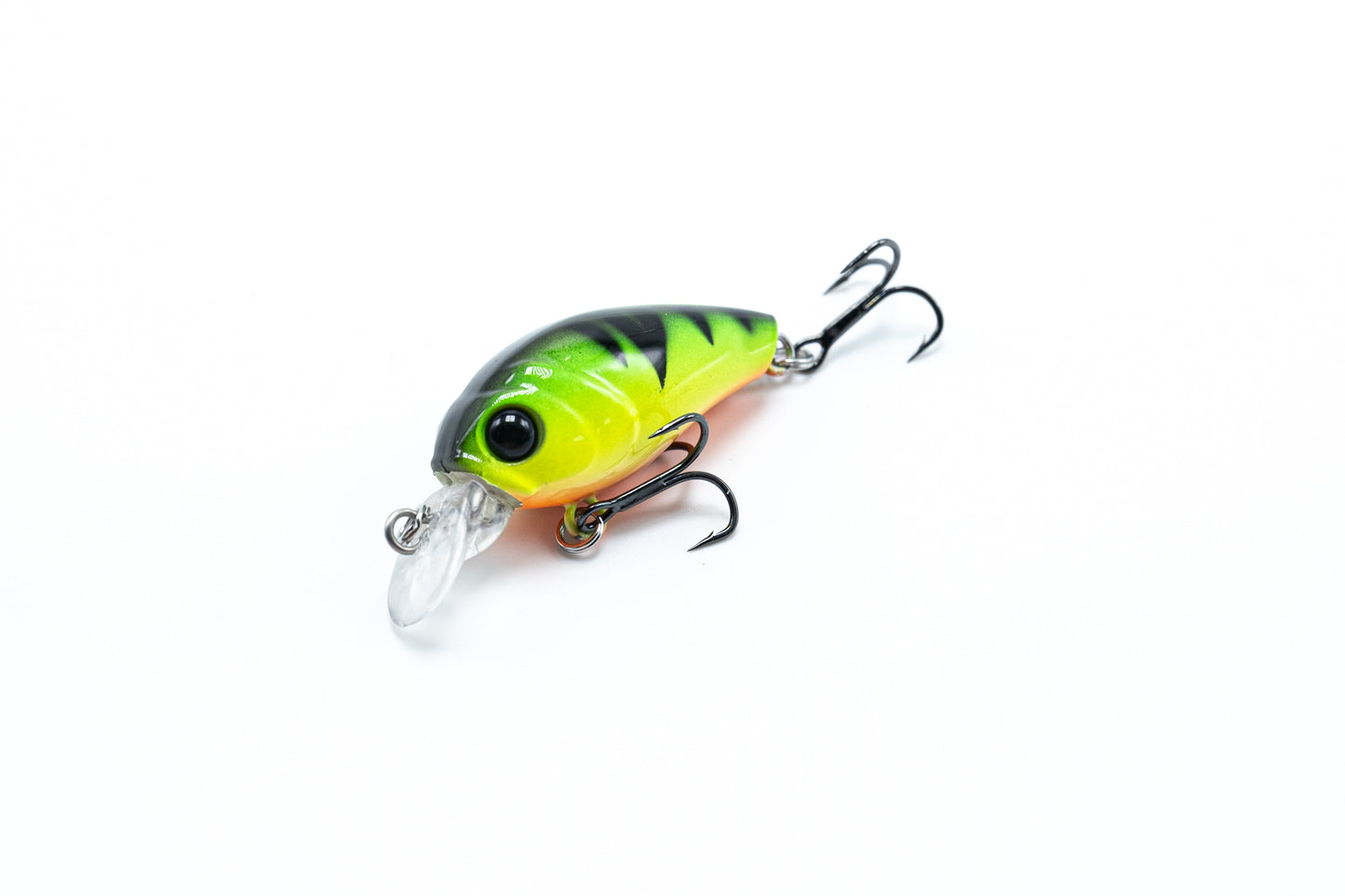 Zielfisch Salmoniden