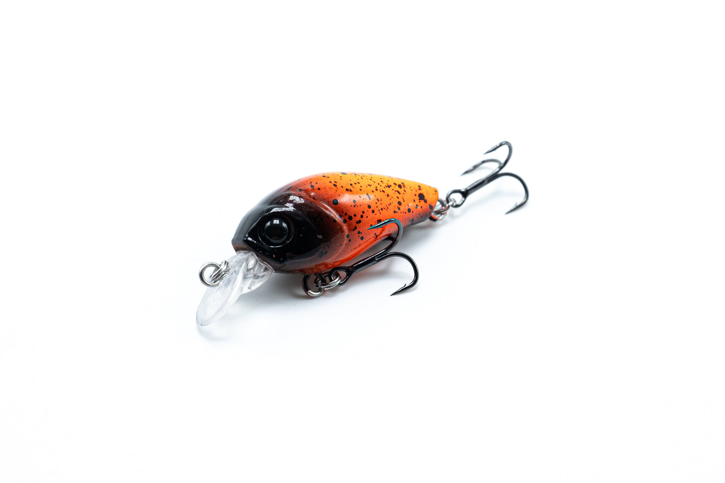 Zielfisch Salmoniden