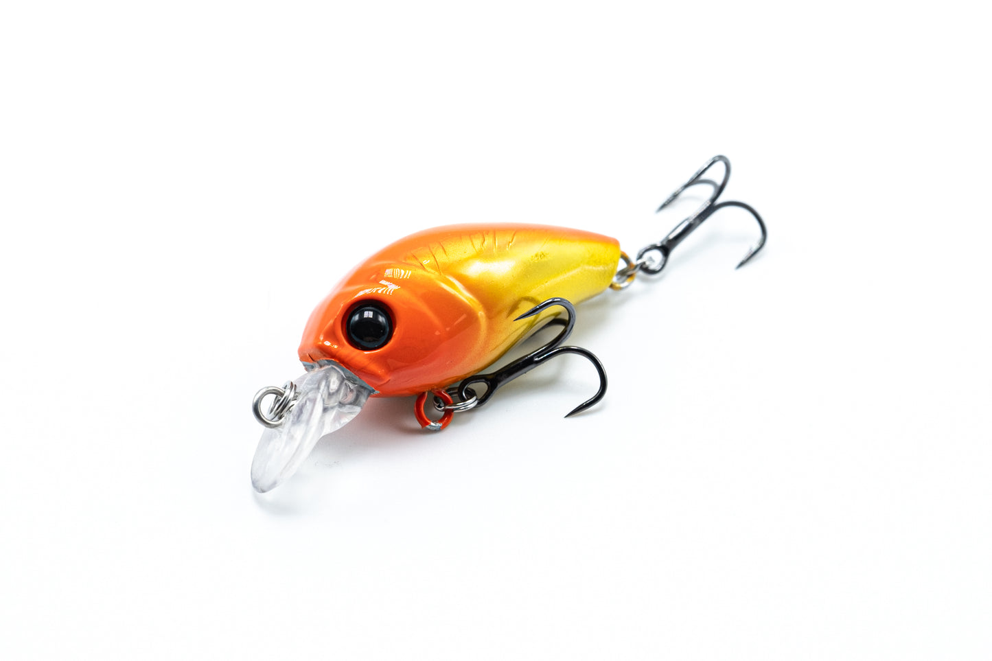 Zielfisch Salmoniden