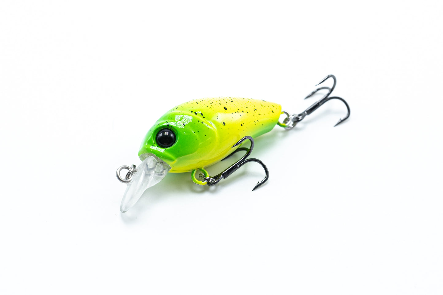 Zielfisch Salmoniden