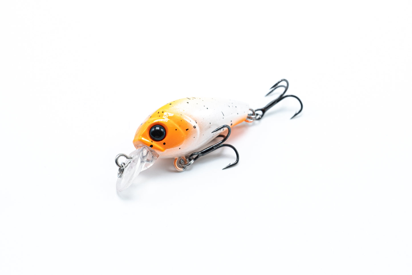 Zielfisch Salmoniden