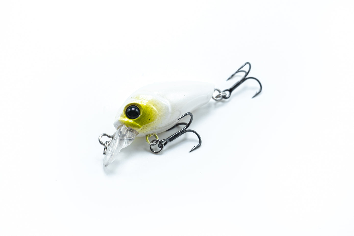 Zielfisch Salmoniden