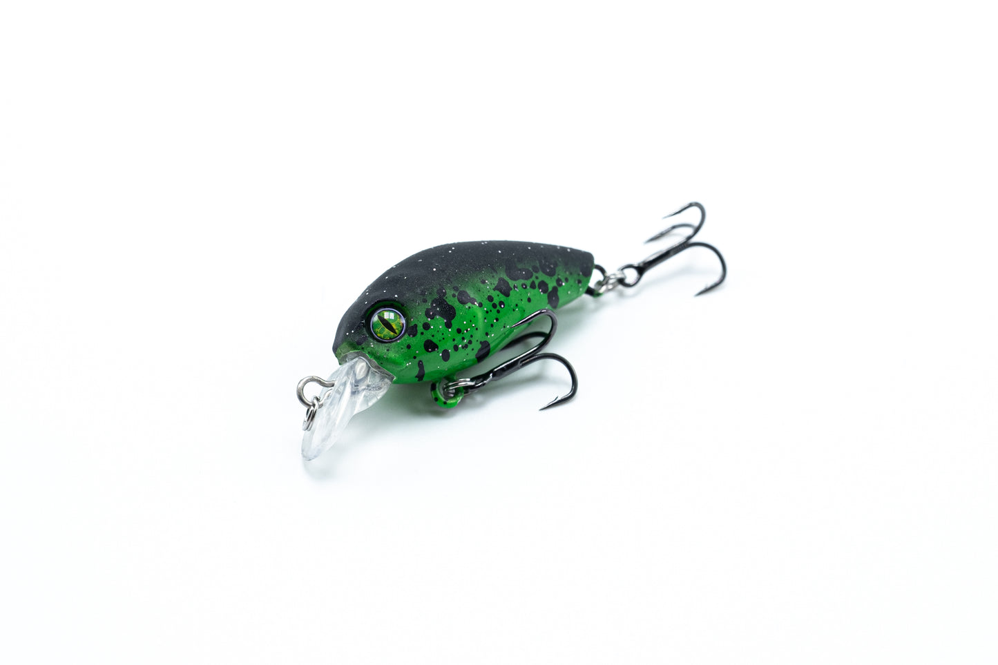 Zielfisch Salmoniden