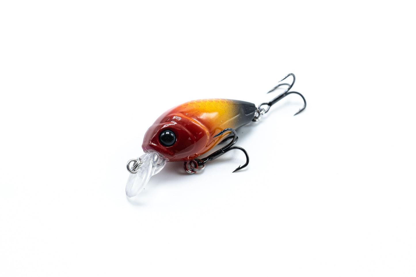 Zielfisch Salmoniden