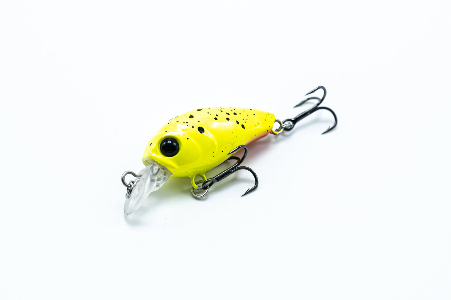Zielfisch Salmoniden