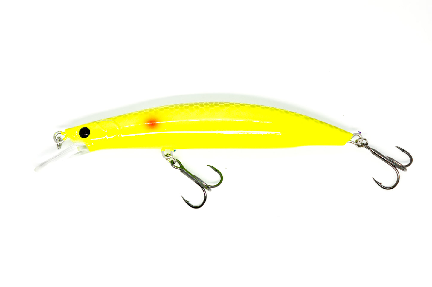 Zielfisch Zander Nachtedition