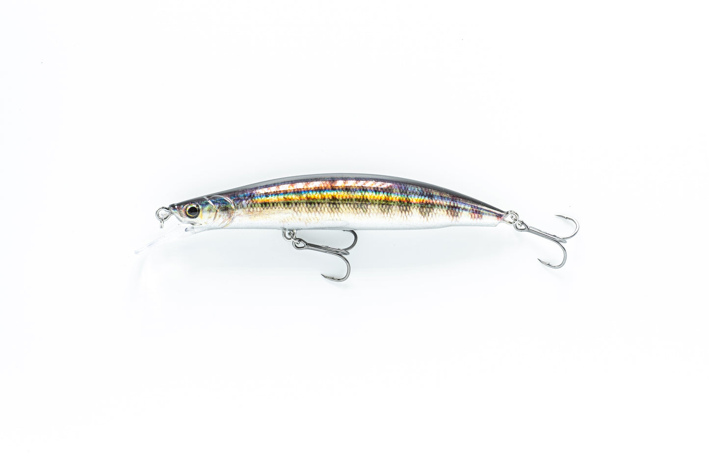 Zielfisch Zander Nachtedition
