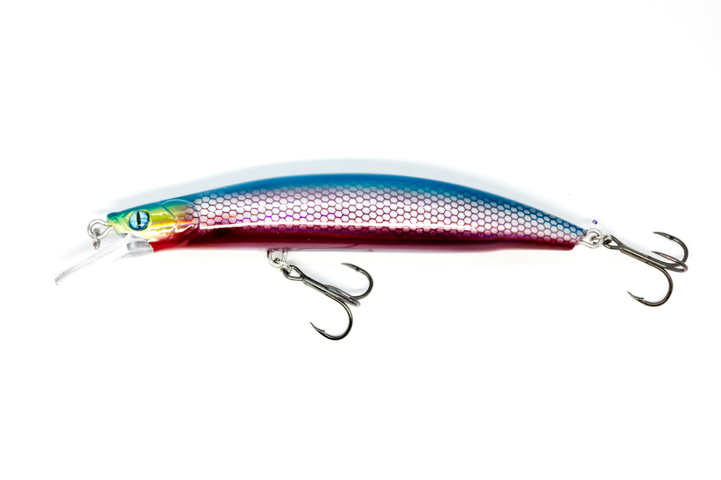 Zielfisch Zander Nachtedition
