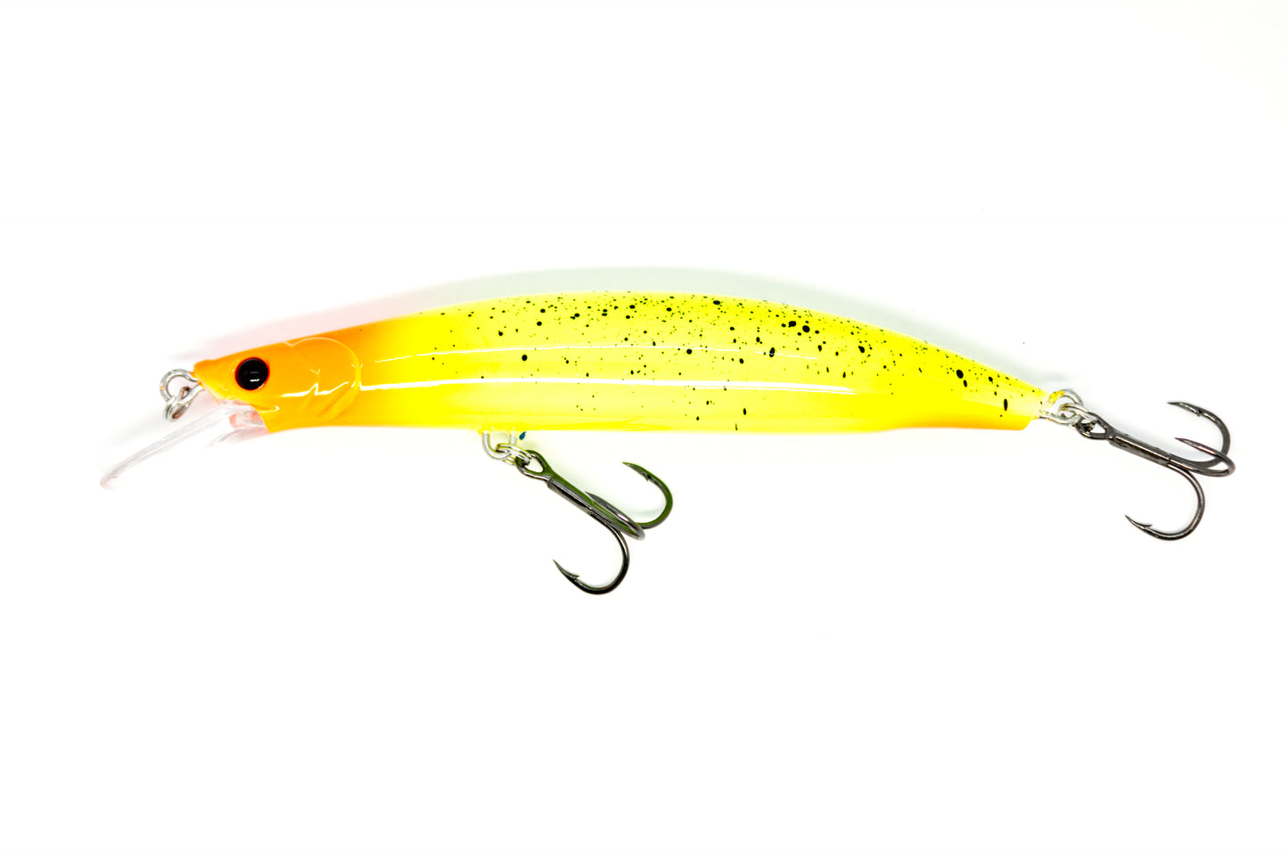 Zielfisch Zander Nachtedition