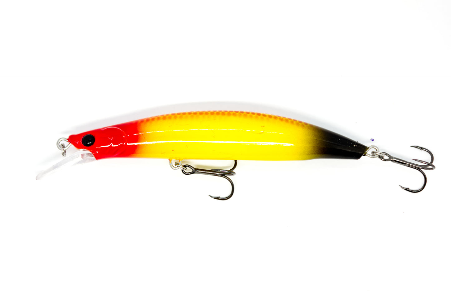 Zielfisch Zander Nachtedition